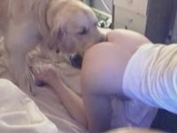 Bored house wife bends over and gets nailed by her dog